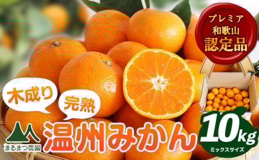【先行予約】木成り完熟 温州 みかん ミックスサイズ 約 10kg まるまつ農園《2025年12月上旬-2026年1月末頃出荷》 和歌山県 日高川町 温州みかん みかん 完熟和歌山県日高川町25000果物・フルー