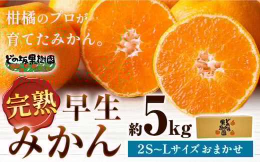 みかん <先行予約> 早生みかん 約 5kg (2S〜Lサイズ) どの坂果樹園《12月上旬-1月末頃出荷予定》2025年出荷 和歌山県 日高川町 みかん 早生  旬 柑橘 フルーツ 果物和歌山県日高川町10000果物・