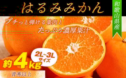 青秀以上 紀州有田産 はるみ 約4kg(2L〜3Lサイズおまかせ)厳選館《2026年1月下旬-2月中旬頃出荷》和歌山県 日高川町 フルーツ 果物 はるみ和歌山県日高川町17000果物・フルーツみかん・柑橘