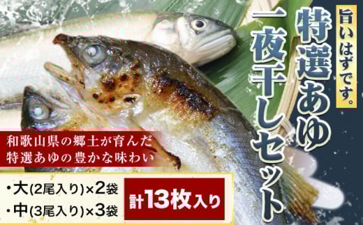 「旨いはずです。」特選あゆ一夜干しセット(13枚入) 日高川漁業協同組合《90日以内に出荷予定(土日祝除く)》 和歌山県 日高川町 あゆ 鮎 魚 一夜干し和歌山県日高川町14000魚介・海産物鮮