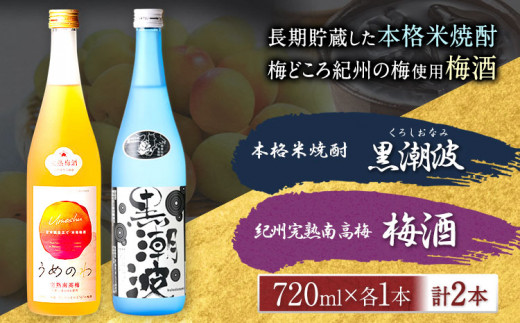 本格米焼酎 黒潮波 (くろしおなみ) と 紀州完熟南高梅 梅酒 720ml×各1本 2本セット 厳選館《90日以内に出荷予定(土日祝除く)》 和歌山県 日高川町 酒 梅酒 焼酎 米焼酎 果実酒和歌山県日高