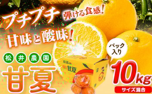 【先行予約】【ふるさと納税】パック入り 甘夏 10kg(サイズ混合) 松井農園《2026年4月上旬-5月中旬頃出荷》和歌山県 日高川町 フルーツ 柑橘 あまなつ和歌山県日高川町14000果物・フルーツみ