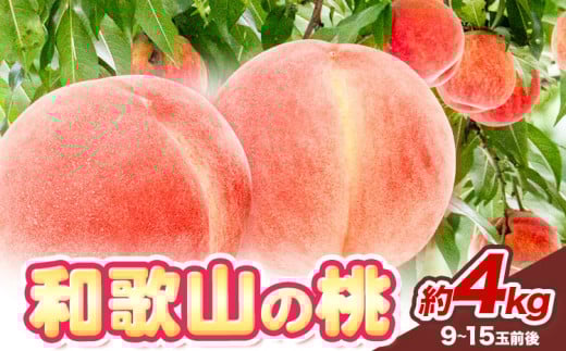 【先行予約】和歌山の 桃 秀選品 約 4kg(9〜15玉入り) 1箱 厳選館【配送不可地域あり】《2026年6月末-8月下旬出荷》和歌山県 日高川町 果物 フルーツ 桃 もも和歌山県日高川町26000果物・フルー