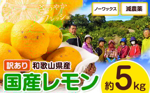 訳あり レモン 国産 約 5kg (サイズ混合)  ノーワックス 減農薬 どの坂果樹園《2026年2月上旬-5月末頃出荷》 和歌山県 日高川町 レモン れもん 檸檬 果物 フルーツ 訳あり  【わけあり・訳あり
