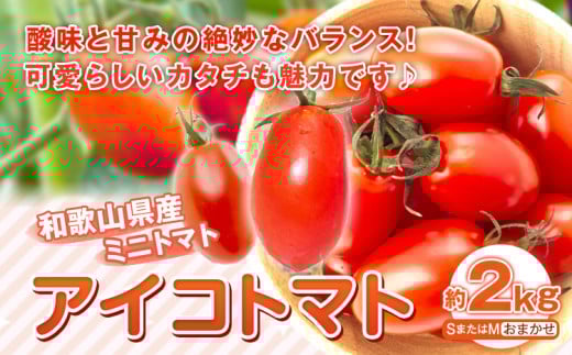 【先行予約】和歌山産 ミニトマト アイコトマト 約2kg SまたはMサイズ サイズおまかせ 厳選館 【配送不可地域あり】《2026年5月上旬-6月中旬頃出荷》 和歌山県 日高川町 トマト とまと アイコ