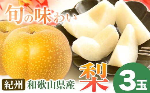 【先行予約】紀州和歌山県産の梨 3玉 化粧箱入 魚鶴商店《8月中旬-9月上旬出荷》和歌山県 日高川町 和歌山県産 梨 なし ナシ 贈り物 ギフト和歌山県日高川町10000果物・フルーツりんご・梨