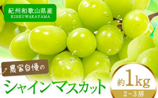 ys\zIBa̎RY VC}XJbg  1kg ߏXs8{-9{oׁt}XJbg a̎R 쒬 蕨 Mtg Ԃǂ VC}XJbga̎R쒬18000ʕE