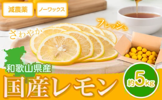 国産 レモン 約5kg (L〜4Lサイズ)  ノーワックス 減農薬 どの坂果樹園《2026年2月上旬-5月末頃出荷》 和歌山県 日高川町 レモン れもん 檸檬 果物 フルーツ 国産レモン レモネード レモンサワー