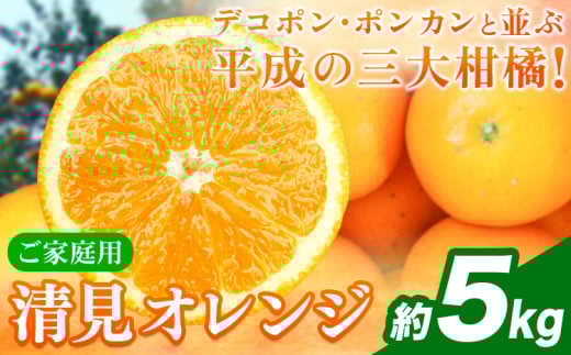【ご家庭用訳アリ】 紀州有田産清見オレンジ 約5kg 株式会社魚鶴商店《2026年3月下旬-4月中旬頃出荷》 和歌山県 日高川町 オレンジ 柑橘 ご家庭用 フルーツ和歌山県日高川町11000果物・フルー
