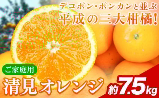 【ご家庭用訳アリ】 紀州有田産清見オレンジ 約7.5kg 株式会社魚鶴商店《2026年3月下旬-4月中旬頃出荷》 和歌山県 日高川町 オレンジ 柑橘 ご家庭用 フルーツ和歌山県日高川町16000果物・フル