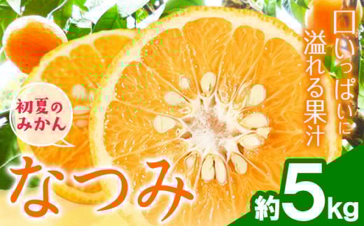 <先行予約>初夏のみかん なつみ 約 5kg 株式会社 魚鶴商店《2026年4中旬-4月下旬頃出荷》 和歌山県 日高川町 みかん なつみ 南津海 柑橘 果物 フルーツ 和歌山県日高川町14000果物・フルーツ