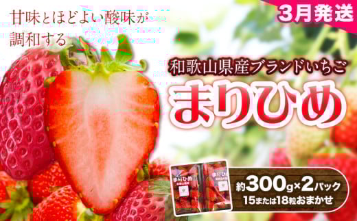 【2026年3月頃発送予定】和歌山県産ブランド いちご「まりひめ」約300g×2パック (15または18粒おまかせ) 日高川町厳選館《3月上旬-3月末頃出荷予定》和歌山県 日高川町  苺 鞠姫 マリヒメ フル