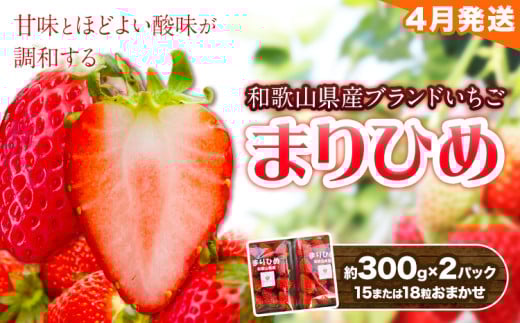 【4月発送】和歌山県産ブランド いちご「まりひめ」約300g×2パック (15または18粒おまかせ) 日高川町厳選館《4月上旬-4月末頃出荷予定》和歌山県 日高川町  苺 鞠姫 マリヒメ フルーツ 果物