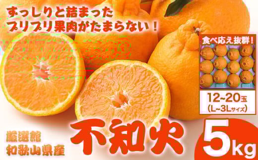 和歌山県産 不知火 選べる 約5kg(12玉〜20玉おまかせ)  厳選館《2月中旬-4月上旬頃出荷》和歌山県 日高川町 デコポン でこぽん 柑橘 不知火 しらぬい 大玉 和歌山県日高川町15000果物・フルーツ