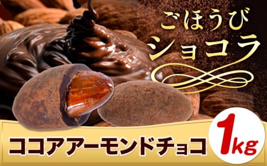 チョコ チョコレート ココア アーモンドチョコ 1kg《30日以内に出荷予定(土日祝除く)》和歌山県 日高川町  スイーツ デザート お菓子 おやつ チョコ アーモンド アーモンドチョコ ココア和歌