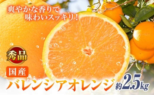 【秀品】※先行予約※希少な国産バレンシアオレンジ 約2.5kg 株式会社 魚鶴商店《2026年6月下旬頃〜7月上旬頃出荷》和歌山県 日高川町 オレンジ 柑橘 フルーツ 果物和歌山県日高川町10000果物