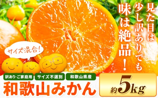 和歌山・日高川育ちの 訳あり 濃厚みかん(3S〜3L)  約5kg《11月上旬-12月末頃出荷》和歌山県 日高川町 柑橘類 柑橘 果物 フルーツ ミカン 訳ありみかん 家庭用 お取り寄せフルーツ みかん和歌
