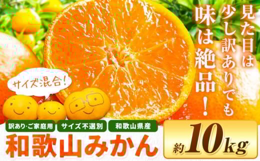 和歌山県産 訳あり みかん(3S〜3L) 約10kg《11月上旬-12月末頃出荷》和歌山県 日高川町 柑橘類 柑橘 果物 フルーツ ミカン 訳ありみかん 家庭用 お取り寄せフルーツ みかん 大容量和歌山県日高