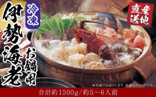 冷凍 伊勢海老 お鍋用  約 1.5kg 〜 1.6kg 産地直送和歌山県白浜町37000魚介・海産物エビ