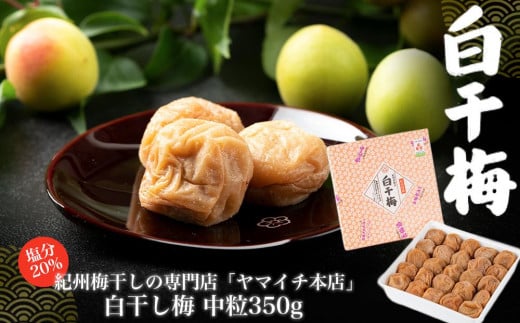 白干し梅 中粒350g和歌山県白浜町6000鍋セット・総菜・加工食品漬物・梅干・キムチ