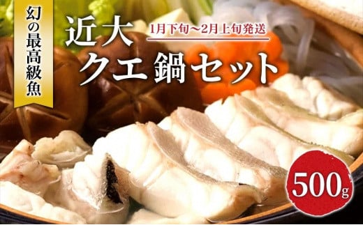 ߑNGZbg ( 500g j肾ۂ|ty2026N1{`2{za̎Rl30000ECYN