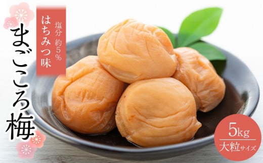 極上 紀州南高梅 はちみつ 梅干し 3L サイズ以上 合計 約5kg ( 約1kg × 5 )  塩分約5% 化粧箱入り和歌山県白浜町46000鍋セット・総菜・加工食品漬物・梅干・キムチ