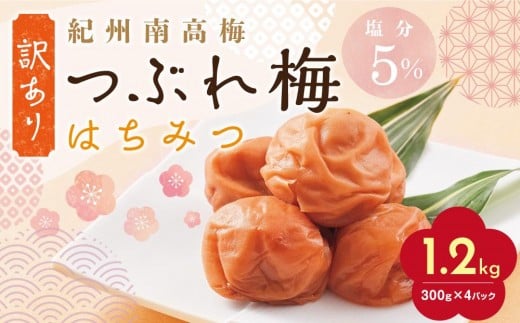 【定期便4回 2ヶ月に1回】紀州南高梅 訳あり はちみつ梅 塩分5% 1.2kg(300g×4パック)和歌山県白浜町40000鍋セット・総菜・加工食品漬物・梅干・キムチ