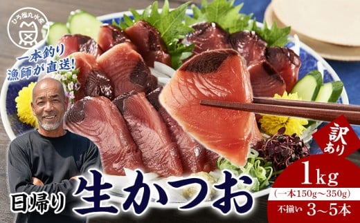 かつお一本釣り漁師が直送! 日帰り生かつお 訳あり 1kg入和歌山県白浜町10000魚介・海産物鮮魚