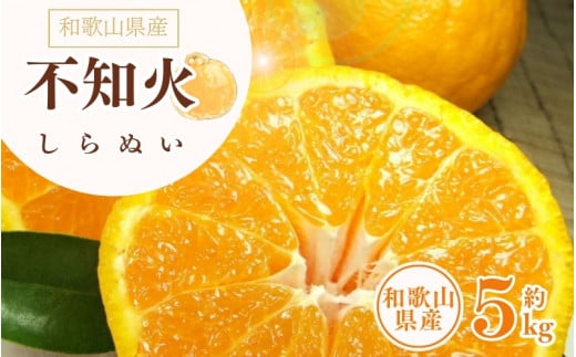 デコ不知火(デコポン) 約5kg/サイズおまかせ ※2026年2月上旬〜2026年4月上旬頃に順次発送予定(お届け日指定不可) 紀伊国屋文左衛門本舗【ntbt420A】和歌山県太地町19000果物・フルーツみか