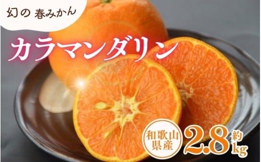 カラマンダリン 約2.8kg/サイズおまかせ ※2026年4月上旬〜2026年5月上旬頃に順次発送予定(お届け日指定不可) 紀伊国屋文左衛門本舗 【ntbt471B】和歌山県太地町14000果物・フルーツみかん・