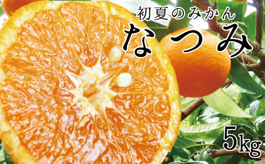 初夏のみかん なつみ5kg【予約】※2026年4月中旬頃〜2026年4月下旬頃に順次発送予定(お届け日指定不可)【uot501-2】和歌山県太地町14000果物・フルーツみかん・柑橘類