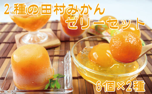 2種の田村みかんゼリーセット【uot102】和歌山県太地町12000菓子・スイーツプリン・ゼリー