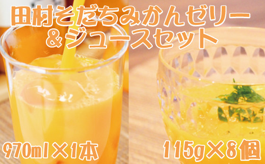 田村そだちみかんゼリー&ジュースセット【uot101】和歌山県太地町17000お茶・飲料果汁・野菜飲料