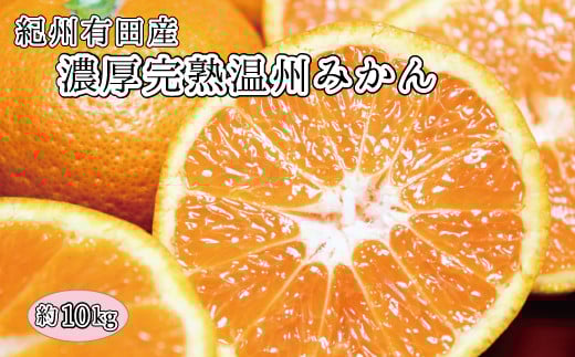 【先行予約】完熟有田みかん 10kg ※2025年11月下旬頃〜2026年1月下旬頃に順次発送予定(お届け日指定不可)【uot705】和歌山県太地町18000果物・フルーツみかん・柑橘類