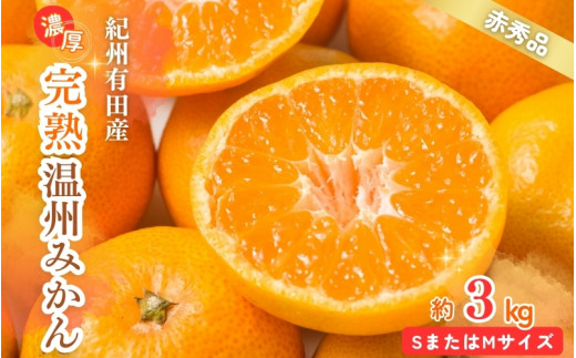 【先行予約受付 有田ミカン】紀州有田産 濃厚完熟温州みかん 3kg(MサイズまたはSサイズ)※2025年11月下旬頃〜2026年1月下旬頃に順次発送予定(お届け日指定不可)【uot713】和歌山県太