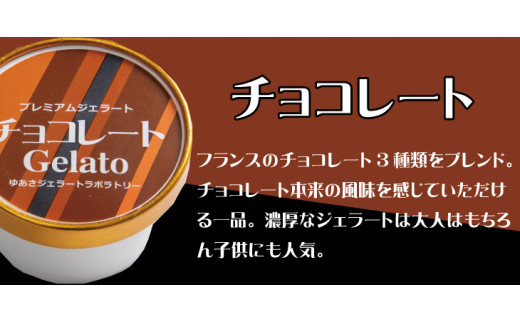 プレミアムジェラート チョコレート12個セット アイスクリームセット 100mlカップ ゆあさジェラートラボラトリー【ntbt700-03】和歌山県太地町20000菓子・スイーツアイス・ジェラート