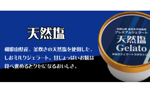 プレミアムジェラート 天然塩12個セット アイスクリームセット 100mlカップ ゆあさジェラートラボラトリー【ntbt700-04】和歌山県太地町20000菓子・スイーツアイス・ジェラート