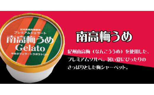 プレミアムジェラート 南高梅うめソルベ12個セット アイスクリームセット 100mlカップ ゆあさジェラートラボラトリー【ntbt700-06】和歌山県太地町20000菓子・スイーツアイス・ジェラート