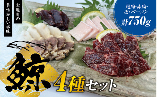 ~Zbg i100g×1Eԓ150g×3E100g×1Ex[R100g×1j^hg NW  NW ytgk102za̎Rn30000ECYL