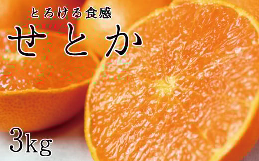 とろける食感!ジューシー柑橘 せとか 約3kg【予約】※2026年2月下旬頃〜2026年3月下旬頃発送(お届け日指定不可)【uot506A】和歌山県太地町21000果物・フルーツみかん・柑橘類