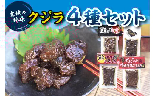 くじら4種セット ( くじらの角煮、鯨の山椒角煮、くじらの金山寺みそ煮込み、鯨の照り煮 )【kin011】和歌山県太地町11000鍋セット・総菜・加工食品総菜