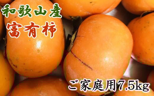 和歌山産富有柿ご家庭用約7.5kg※2025年11月上旬〜2025年12月上旬頃に順次発送 【tec407A】和歌山県太地町17000果物・フルーツその他 果物・フルーツ