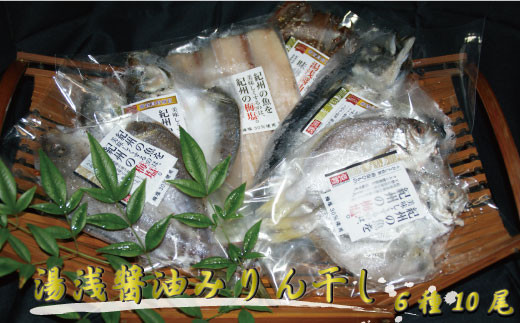 和歌山の近海でとれた新鮮魚の梅塩干物と湯浅醤油みりん干し6品種10尾入りの詰め合わせ【tec201】和歌山県太地町14000魚介・海産物干物