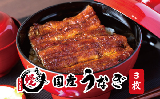 国産うなぎ 関西風蒲焼 大サイズ3枚(合計約450g)薬味付【太地グルメ市場】 【miw106】和歌山県太地町20000魚介・海産物うなぎ