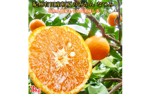 初夏のみかん なつみ3kg ※2026年4月中旬頃〜2026年4月下旬頃順次発送(お届け日指定不可)【uot753A】和歌山県太地町12000果物・フルーツみかん・柑橘類