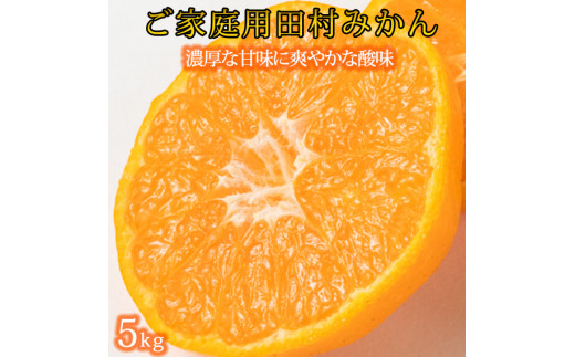 【先行予約】【ご家庭用訳あり】田村みかん 5kg ※2025年11月下旬頃〜2026年1月下旬頃に順次発送予定(お届け日指定不可) 訳ありみかん 温州みかん【uot754A】和歌山県太地町13000果物・フルー