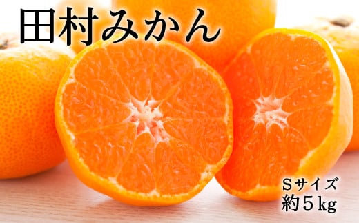 【ブランドみかん】田村みかん約5kg(Sサイズ・秀品)【2025年11月下旬〜12月下旬頃に順次発送】【tec883A】和歌山県太地町20000果物・フルーツみかん・柑橘類