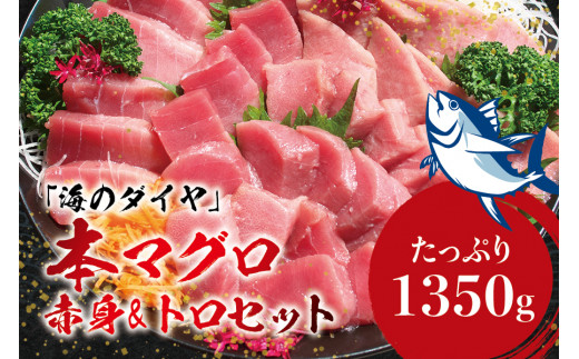 本マグロ(養殖)トロ&赤身セット 1350g 【12月発送】高級 クロマグロ  中トロ 中とろ まぐろ マグロ 鮪 刺身 赤身 柵 じゃばらまぐろ 本マグロ 本鮪【nks111B-12】和歌山県太地町53000魚介・海