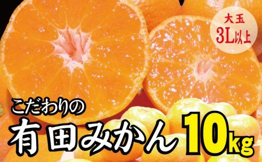 \光センサー選別/ 【農家直送】有田みかん 約10kg  大玉3L以上 有機質肥料100% ※2022年12月初旬〜1月中旬に順次発送(お届け日指定不可)【nuk119】和歌山県太地町10000果物・フルーツみかん