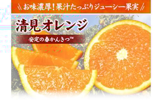 cYIW[4.5kg]󒬓cYt݂(ʎTCY܂)/Iɍq{܁@2026N3{`4{\yntbt492Aza̎Rn14000ʕEt[c݂E